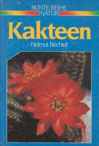 Kakteen