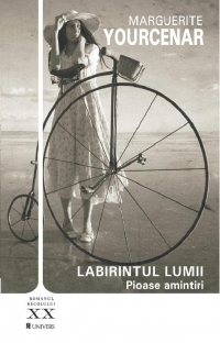 LABIRINTUL LUMII (VOL 1 - PIOASE AMINTIRI)