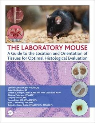 Laboratory Mouse