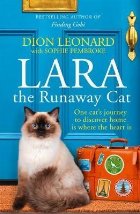 Lara The Runaway Cat