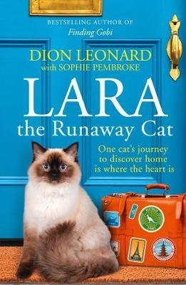 Lara The Runaway Cat