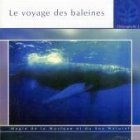 Le Voyage des Baleines