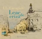 Leac criza (Audiobook)