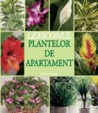 Lexiconul plantelor de apartament