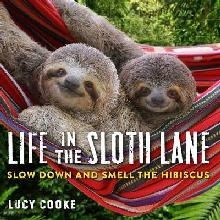 Life In The Sloth Lane