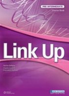 Link Up Pre-Intermediate Workbook