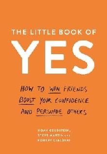 Little Book of Yes