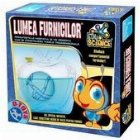 Lumea furnicilor