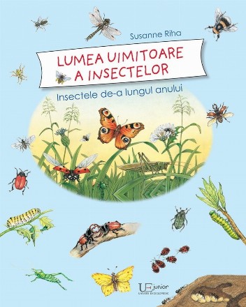 Lumea uimitoarte a insectelor : insectele de-a lungul anului