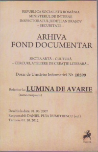 Lumina de avarie