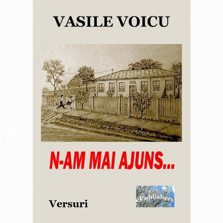 N-am mai ajuns... Versuri