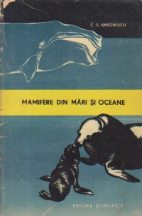 Mamifere din mari si oceane