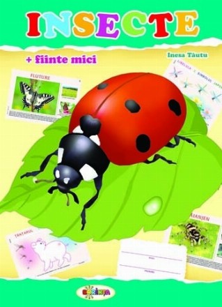 Mapa Insecte + fiinte mici