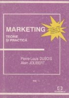 Marketing teorie practica Volumul