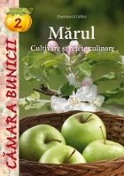 Marul - Cultivare si retete culinare