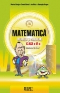 Matematica. Exercitii si probleme. Clasa a VI-a, semestrul al II-lea