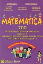 Matematica 700 probleme pentru micii