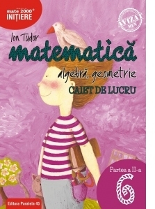 Matematica. Algebra, geometrie. Caiet de lucru. Clasa a VI-a. Initiere. Partea a II-a