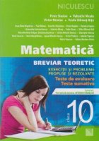 Matematica Breviar teoretic exercitii probleme