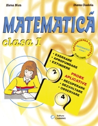 Matematica. Clasa I. Diferentierea activitatii. Evaluare