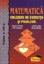 Matematica, culegere de exercitii si probleme, clasa a VII-a