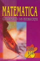 Matematica Culegere exercitii clasa