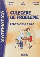 Matematica. Culegere de probleme pentru clasa a VI-a