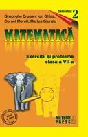 Matematica. Exercitii si probleme. Clasa a VII-a, semestrul al II-lea 2009-2010