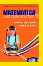 Matematica Exercitii probleme Clasa VII