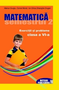 Matematica. Exercitii si probleme. Clasa a VI-a, semestrul II 2012-2013