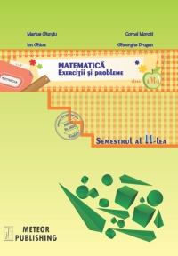 Matematica. Exercitii si probleme. Clasa a VI-a, semestrul II 2013-2014