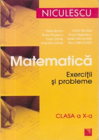 Matematica - Exercitii si probleme, Clasa a X-a