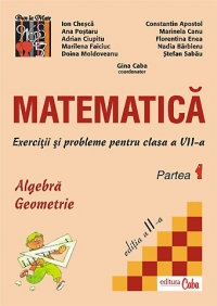 Matematica. Exercitii si probleme pentru clasa a VII-a, partea I. Algebra si Geometrie