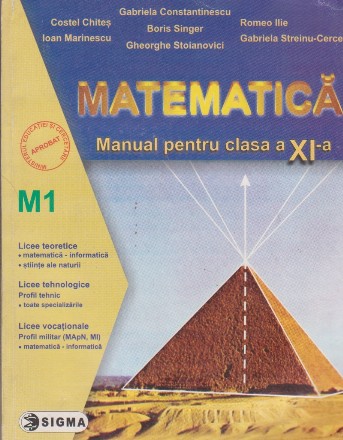 Matematica. Manual pentru clasa a XI-a M1