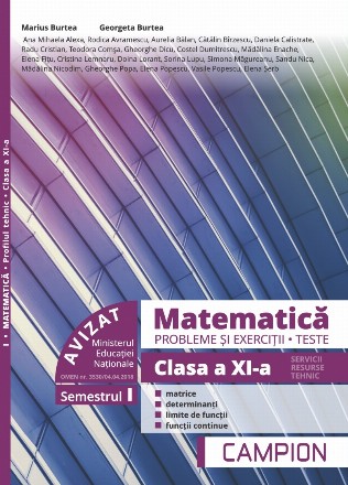 Matematica. Probleme si exercitii. Teste. Clasa a XI-a. Semestrul I. Servicii, resurse, tehnic