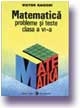 Matematica. Probleme si teste, Clasa a VI-a