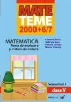 MATEMATICA TEME EVALUARE CRITERII NOTARE