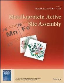 Metalloprotein Active Site Assembly