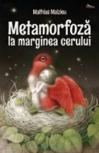 Metamorfoza marginea cerului