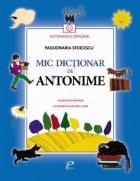 Mic dictionar antonime Gramatica poezii