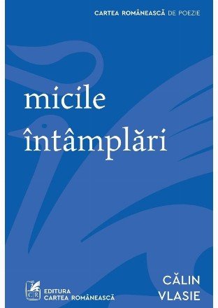 micile intamplari