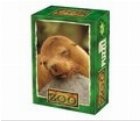 Mini Puzzle 54 - Animale - Zoo