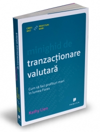 Minighid de tranzactionare valutara- Cum sa faci profituri mari in lumea Forex