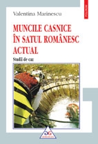 Muncile casnice in satul romanesc actual. Studii de caz