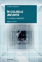 În culisele Big Data : o abordare statistică