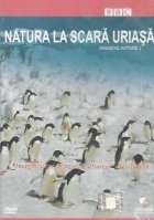 Natura la scara uriasa (Massive Nature)