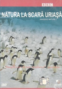 Natura la scara uriasa (Massive Nature)