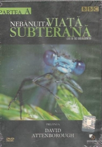 Nebanuita viata subterana. Partea A (Life in the undergrowth)