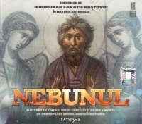 Nebunul (Audiobook)