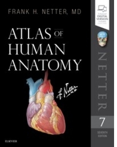 Netter Atlas of Human Anatomy. 7th Revised edition